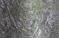 Oakley Court fibreglass roof work